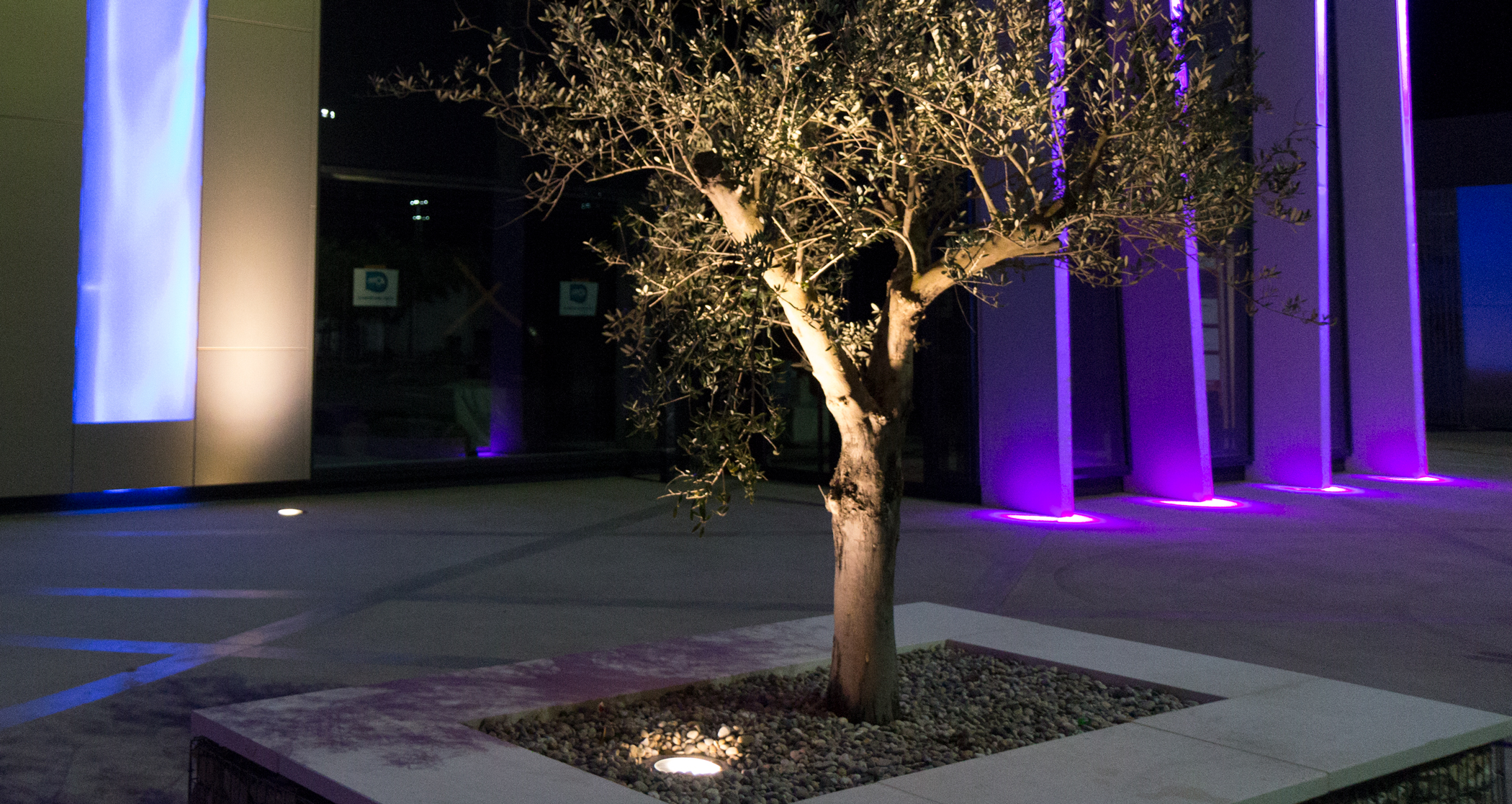 Jardins, terrasses &amp; cheminements