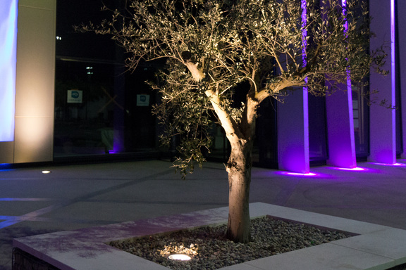 Jardins, terrasses &amp; cheminements