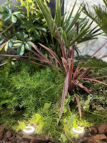 ambiance-encastres-de-sol-halo-5