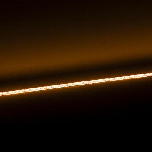 bandeau-led-24-volta-pro-19-2w-ip42-2400k-allume