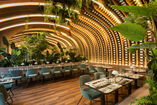 MFLPhoto-JBProject-JAJARestaurant-shark-top-view-web-8