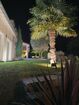 ambiance-projecteur-elios-solar-2