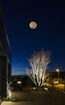 europole-luminaire-projecteurs-tube-ambiance-1