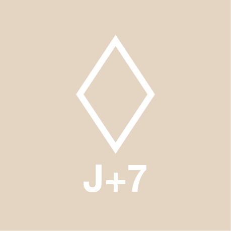 J plus 7